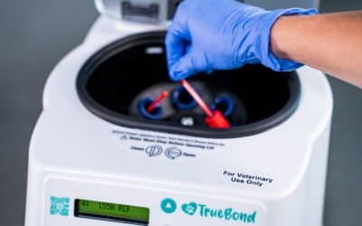 Recognizing the Signs: Is Your Veterinary Centrifuge Due for Replacement?