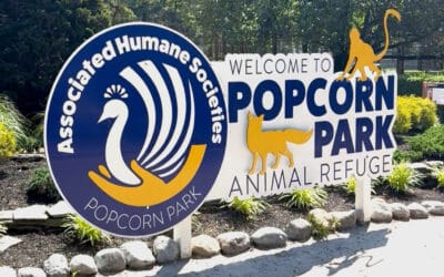 How Diagnostics Make a Difference at Popcorn Park Animal Refuge
