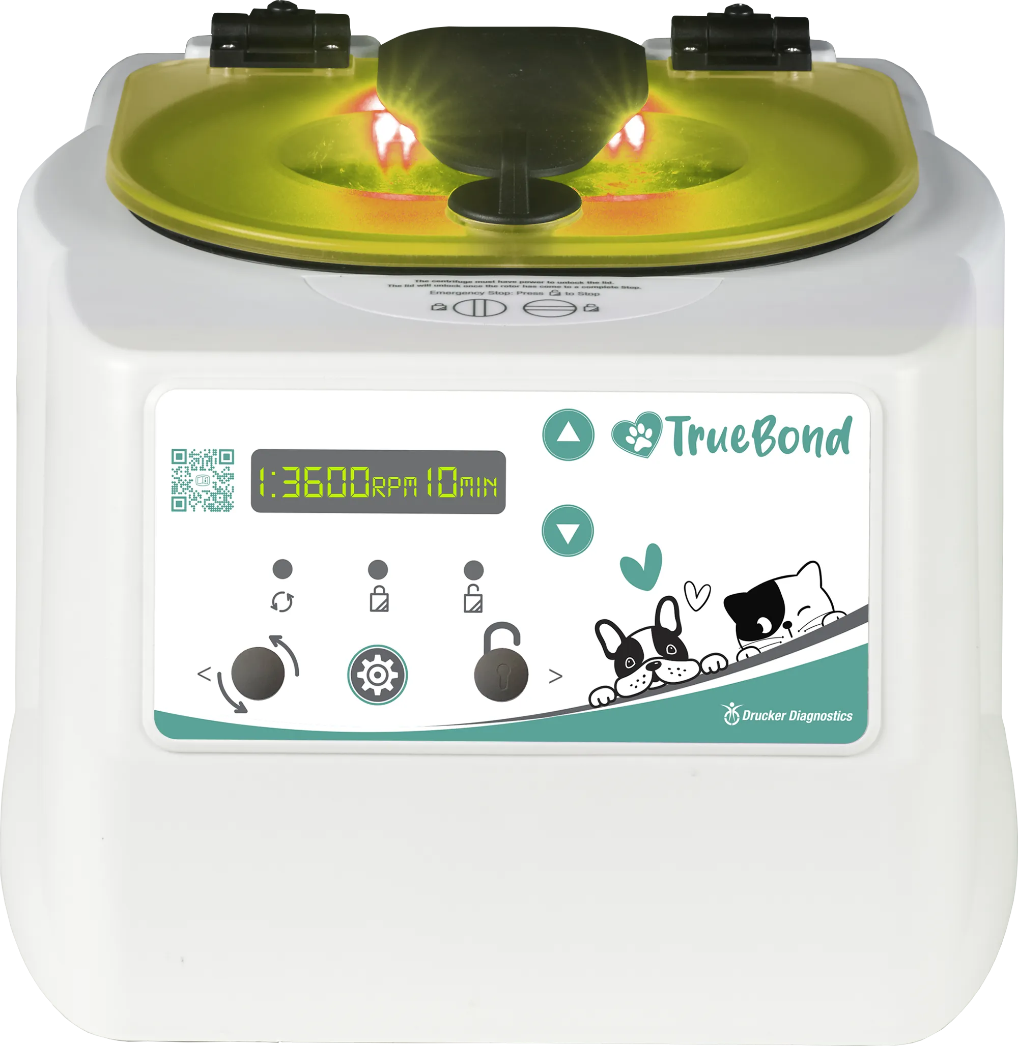 TrueBond