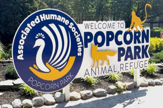 How Diagnostics Make a Difference at Popcorn Park Animal Refuge