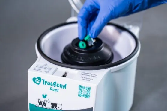 Best Veterinary Centrifuges for In-House Blood Testing
